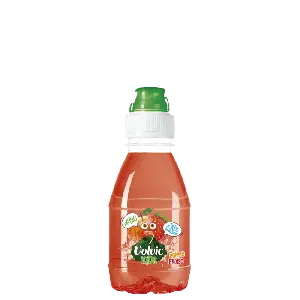 Volvic Juicy Kids Pomme Fraise Bio 4x25 Cl Evianchezvous