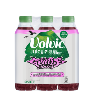 Eau minérale naturelle Volvic - Livraison, commande & achat en ligne