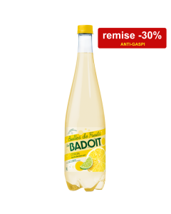 Badoit Bulles De Fruits Citron Touche de Citron vert 2x1L