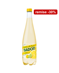 Badoit Bulles De Fruits Citron Touche de Citron vert 2x1L