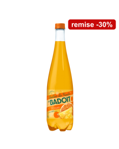 Badoit Bulles de Fruits Fruits Exotiques 2x1L