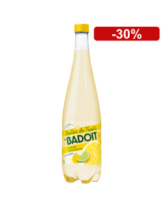 Badoit Bulles De Fruits Citron Touche de Citron vert 2x1L