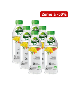 Lot de 2 packs Volvic Essentiel Bio Citron Pamplemousse & Romarin 6x75 cL
