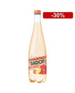 Badoit Bulles de Fruits Pamplemousse Touche de Citron 2x1L