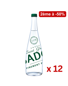 Lot de 2 cartons Badoit Vert verre12x75 cL