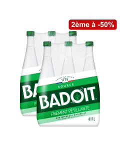 Lot de 2 packs Badoit Vert 6x1L