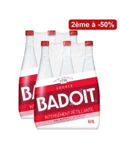 Lot de 2 packs Badoit Intense 6x1L