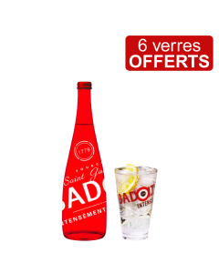 Badoit Intense 12x75 cL Verre + 6 verres offerts