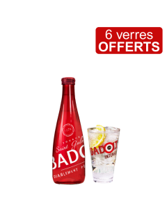 badoit intense verre 20x33cL + 6 verres offerts