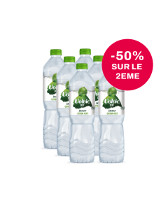 Volvic Zest Citron Vert 2 packs 6x1,5L