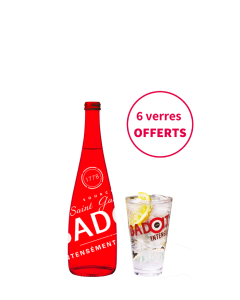 Badoit Intense 12x75 cL Verre + 6 verres offerts
