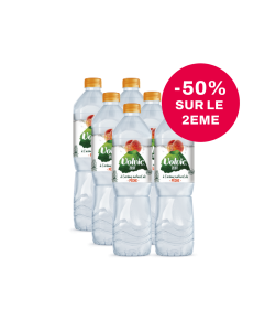 Volvic Zest Pêche 2 packs 6x1,5L