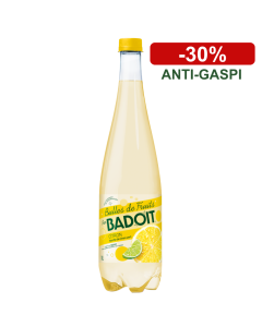 Badoit Bulles De Fruits Citron Touche de Citron vert 2x1L