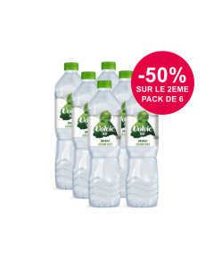 Volvic Zest Citron Vert 2 packs 6x1,5L