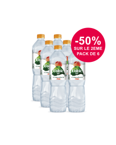 Volvic Zest Pêche 2 packs 6x1,5L