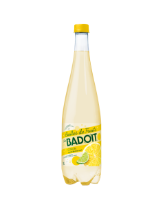 Badoit Bulles De Fruits Citron Touche de Citron vert 2x1L